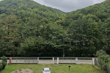 Casă - 8 camere de vanzare CUGIR - Alba anunturi imobiliare Alba