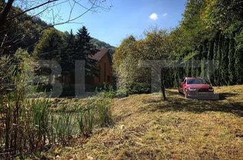 Vilă - 3 camere de vanzare IGHIU - Alba anunturi imobiliare Alba