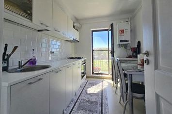 Apartament 2 camere de vanzare LUNCA CETATUII - Iasi anunturi imobiliare Iasi