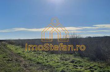 Teren de vanzare VAMA VECHE - Constanta anunturi imobiliare Constanta
