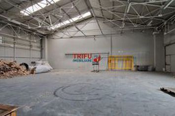 Spațiu industrial de inchiriat CENTRAL - Alba anunturi imobiliare Alba
