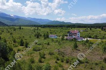 Teren Intravilan de vanzare AVRIG - Sibiu anunturi imobiliare Sibiu