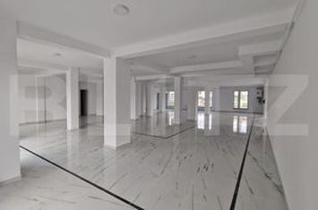Spațiu comercial de inchiriat DUMBRAVITA - Timis anunturi imobiliare Timis