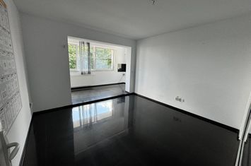Spațiu comercial de inchiriat IASI - Iasi anunturi imobiliare Iasi