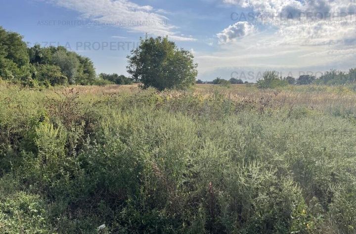 Teren 5.078 mp km 30 Bucuresti-Pitesti- 26.500 eur anunturi imobiliare Giurgiu