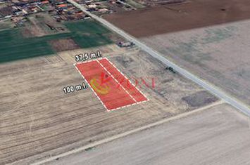 Teren de vanzare BRANESTI - Bucuresti anunturi imobiliare Bucuresti