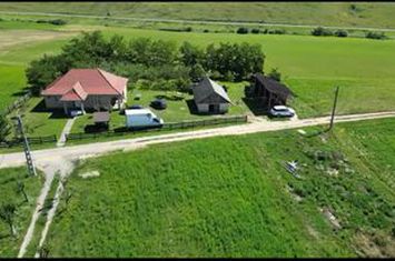 Casă - 3 camere de vanzare GHENETEA - Bihor anunturi imobiliare Bihor
