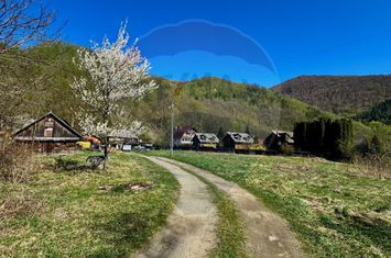 Teren Tarnița / Lăpușești anunturi imobiliare Cluj