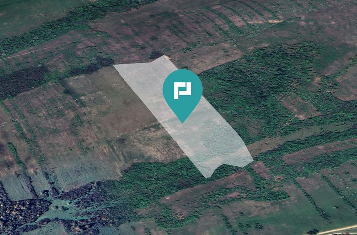 Teren arabil de 11,3 hectare în Bara, Timiș anunturi imobiliare Timis