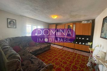 Casă - 7 camere de vanzare DRAGUTESTI - Gorj anunturi imobiliare Gorj