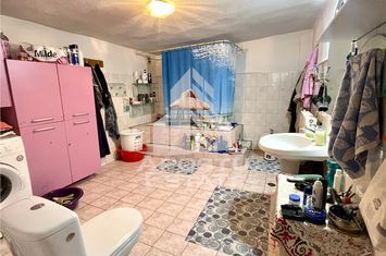 Casă - 3 camere de vanzare BLASCOVICI - Timis anunturi imobiliare Timis