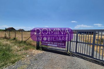 Teren de inchiriat TARGU-JIU - Gorj anunturi imobiliare Gorj