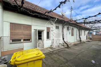 Casa 4 camere, anexe, teren generos zona Aradul Nou Cl. Timisorii anunturi imobiliare Arad