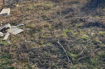 Teren Intravilan de vanzare BORS  - Bihor anunturi imobiliare Bihor