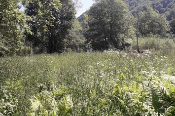 Teren Rusca  - Caras Severin anunturi imobiliare Caras Severin