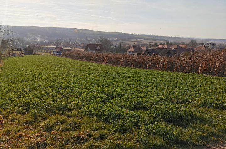 Teren de vanzare RUSI - Sibiu anunturi imobiliare Sibiu