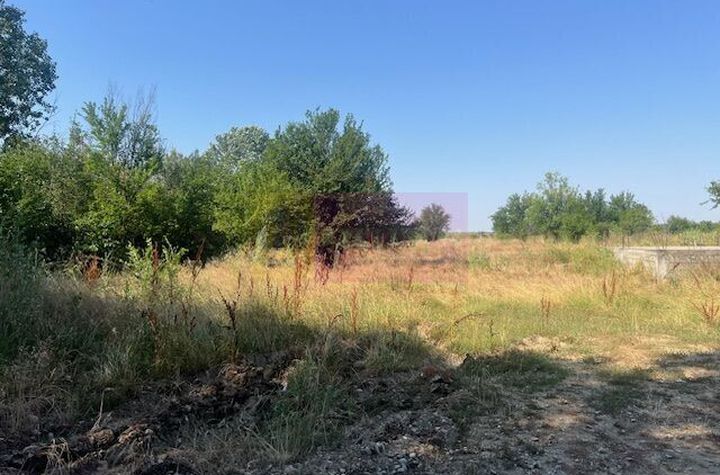 Teren Clinceni- Ordoreanu- langa Dig. anunturi imobiliare Bucuresti