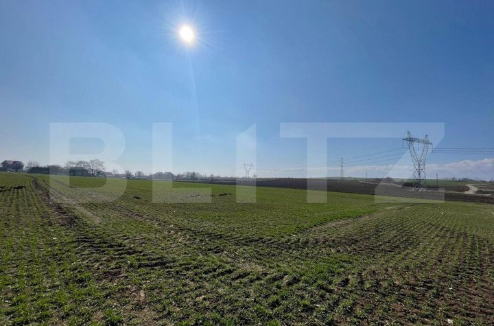 Teren de vanzare FALTICENI - Suceava anunturi imobiliare Suceava