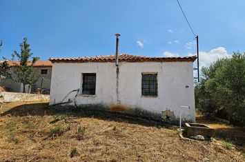 Casă 81 mp în Ivira, teren 1.209 mp anunturi imobiliare Grecia