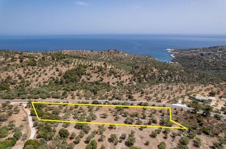 Teren 2.910 mp în Astris (Brogima), Thassos anunturi imobiliare Grecia