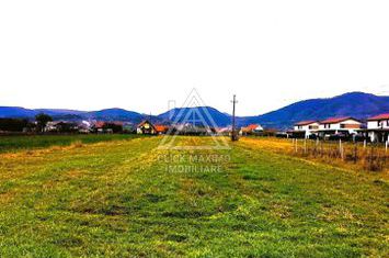 6630 mp TEREN INTRAVILAN, BAIA MARE – SĂSAR, jud. MARAMUREȘ anunturi imobiliare Maramures