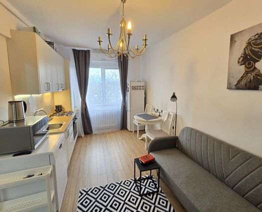 Garsonieră Dambul Rotund, 33 mp