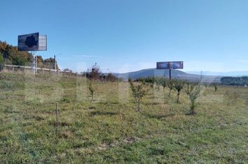 Teren de vanzare BISTRITA - Bistrita-Nasaud anunturi imobiliare Bistrita-Nasaud