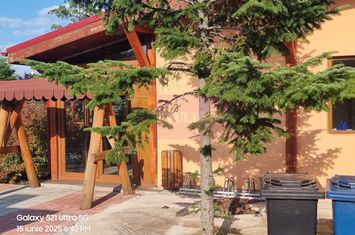 VANZARE CASA OASPETI + ANEXE IN  SAT TEISORI (JUD. GIURGIU) anunturi imobiliare Giurgiu