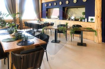 Oportunitate de Investiție - Complex Comercial și Agrement - Vaslui anunturi imobiliare Vaslui