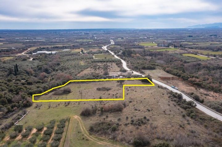 Teren construibil 3.500 mp în Zarkadia (front 40 m) anunturi imobiliare Grecia