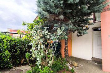 Casă tip duplex de inchiriat anunturi imobiliare Cluj