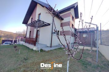 Vilă - 4 camere de vanzare BARNOVA - Iasi anunturi imobiliare Iasi