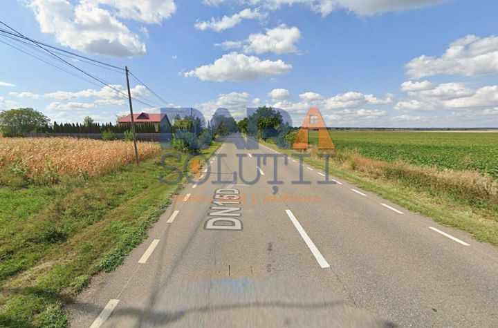 17900 mp teren - la 4,5 km de autostrada A7 anunturi imobiliare Neamt