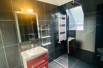 Villa with pool, 6 bedrooms, Iancu Nicolae anunturi imobiliare Bucuresti