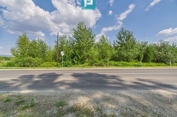 Teren extravilan de 5.219 mp în Geoagiu la șosea anunturi imobiliare Hunedoara