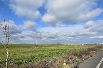Teren de vanzare VAMA VECHE - Constanta anunturi imobiliare Constanta