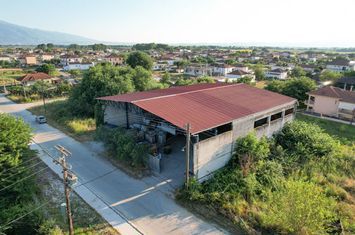 Spațiu comercial - depozit 717 mp în Koudounia anunturi imobiliare Grecia
