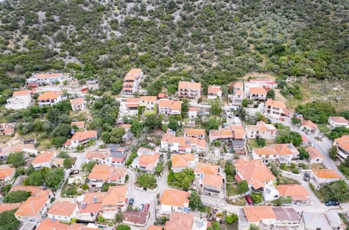 Teren agricol 2806 mp în Prinos, Thassos anunturi imobiliare Grecia