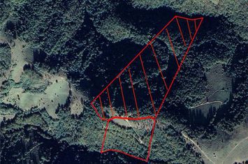 Teren Intravilan de vanzare BULZ  - Bihor anunturi imobiliare Bihor