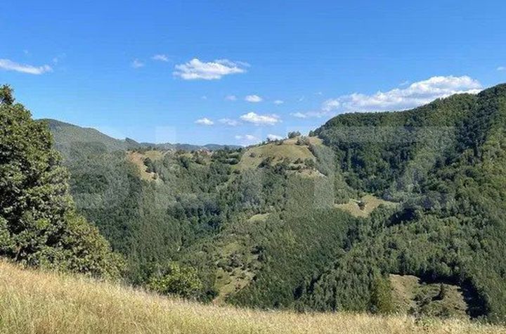 Teren de vanzare SEBES - Alba anunturi imobiliare Alba