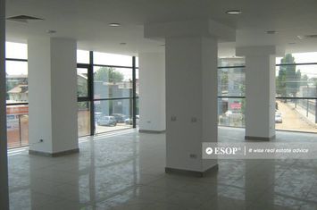 Birou de inchiriat PARCUL CAROL - Bucuresti anunturi imobiliare Bucuresti