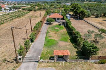 Casă parter 116 mp, 90 m de mare — Paralia Karianis anunturi imobiliare Grecia
