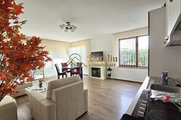 Casa tip duplex 1/2, P+1 de inchiriat, Arex anunturi imobiliare Alba