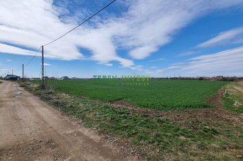 Teren 10.000 mp de vânzare – Balotești – PUZ locuințe anunturi imobiliare Bucuresti