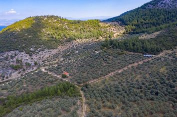 Teren construibil 13668 mp în Rachoni, Thassos anunturi imobiliare Grecia