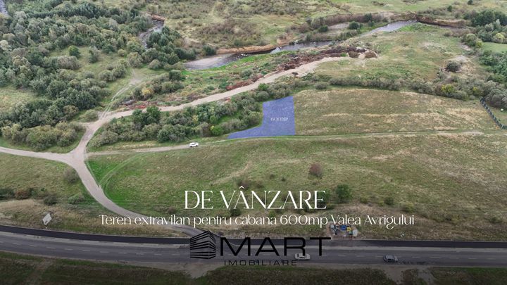Teren de vanzare AVRIG - Sibiu anunturi imobiliare Sibiu