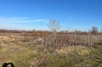 Teren intravilan, Săcădat, 27 921 mp. 9,5 Euro/mp. Comision 0. anunturi imobiliare Bihor