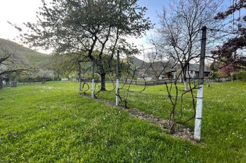 Teren de vanzare BAIA MARE - Maramures anunturi imobiliare Maramures