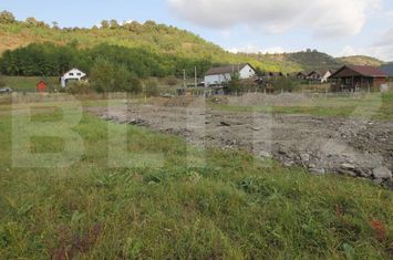 Teren de vanzare LIVEZENI - Mures anunturi imobiliare Mures