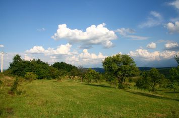 Teren de vanzare DAIA - Sibiu anunturi imobiliare Sibiu